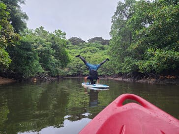 西表島 ADVENTURE PiPi（アドベンチャーピピ）に投稿された画像（2022/5/17）