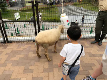 天王寺動物園に投稿された画像（2022/5/17）