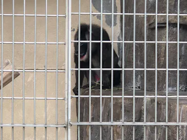 天王寺動物園に投稿された画像（2022/5/17）