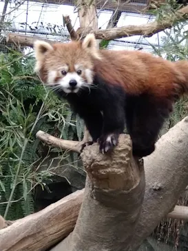 神戸どうぶつ王国に投稿された画像（2022/5/17）