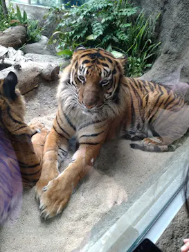 神戸どうぶつ王国に投稿された画像（2022/5/17）