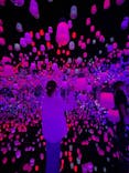 森ビル デジタルアート ミュージアム：エプソン チームラボボーダレスに投稿された画像（2022/5/17）