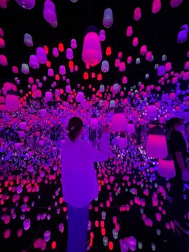 森ビル デジタルアート ミュージアム：エプソン チームラボボーダレスに投稿された画像（2022/5/17）