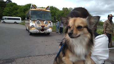 那須どうぶつ王国に投稿された画像（2022/5/17）