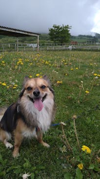 那須どうぶつ王国に投稿された画像（2022/5/17）