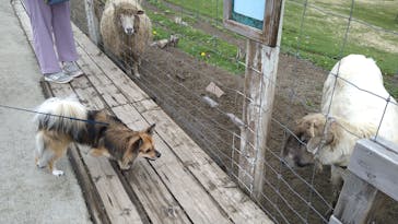 那須どうぶつ王国に投稿された画像（2022/5/17）