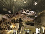 国立科学博物館に投稿された画像（2022/5/18）