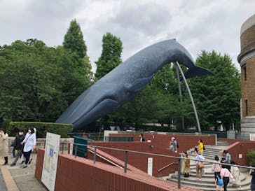 国立科学博物館に投稿された画像（2022/5/17）