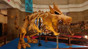 国立科学博物館　特別企画展「ポケモン化石博物館」に投稿された画像（2022/5/18）