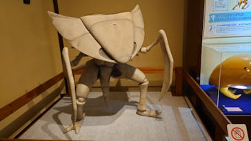 国立科学博物館　特別企画展「ポケモン化石博物館」に投稿された画像（2022/5/18）