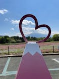 富士芝桜まつり(富士本栖湖リゾート)に投稿された画像（2022/5/18）