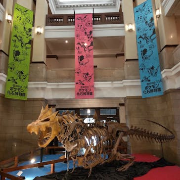 国立科学博物館　特別企画展「ポケモン化石博物館」に投稿された画像（2022/5/18）