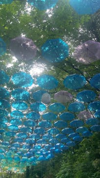 ムーミンバレーパークに投稿された画像（2022/5/18）