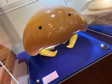 国立科学博物館　特別企画展「ポケモン化石博物館」に投稿された画像（2022/5/18）