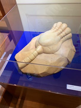 国立科学博物館　特別企画展「ポケモン化石博物館」に投稿された画像（2022/5/18）