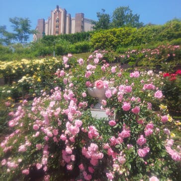 西武園ゆうえんちに投稿された画像（2022/5/18）