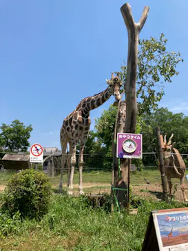 天王寺動物園に投稿された画像（2022/5/18）