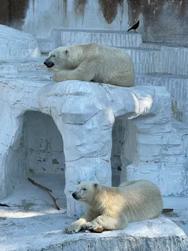 天王寺動物園に投稿された画像（2022/5/18）