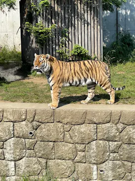 天王寺動物園に投稿された画像（2022/5/18）