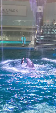 マクセル アクアパーク品川に投稿された画像（2022/5/18）