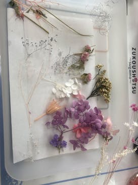 ずこうしつ〜sugamo〜に投稿された画像（2022/5/18）