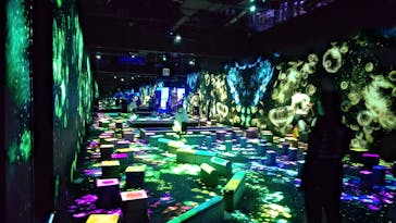 森ビル デジタルアート ミュージアム：エプソン チームラボボーダレスに投稿された画像（2022/5/18）
