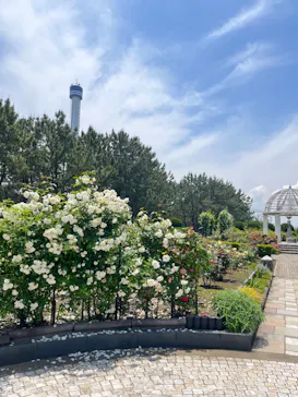 横浜・八景島シーパラダイスに投稿された画像（2022/5/18）