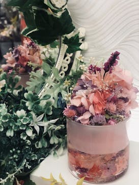 ずこうしつ〜sugamo〜に投稿された画像（2022/5/18）