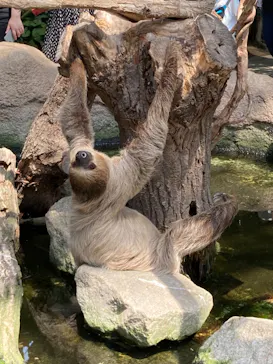 神戸どうぶつ王国に投稿された画像（2022/5/18）