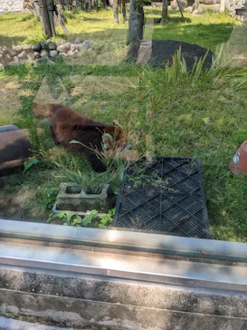 天王寺動物園に投稿された画像（2022/5/18）