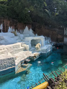 天王寺動物園に投稿された画像（2022/5/18）