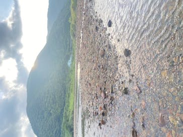 マングローブ茶屋に投稿された画像（2022/5/18）