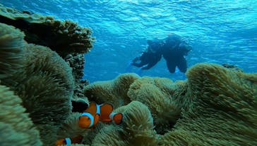 宮古島 ADVENTURE PiPi（ミヤコジマ アドベンチャー ピピ）に投稿された画像（2022/5/18）