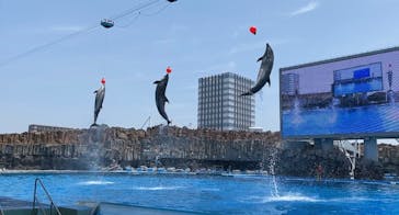 名古屋港水族館に投稿された画像（2022/5/18）