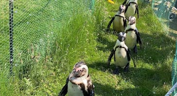 名古屋港水族館に投稿された画像（2022/5/18）