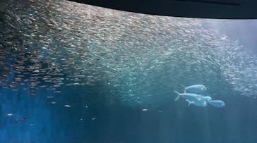 名古屋港水族館に投稿された画像（2022/5/18）