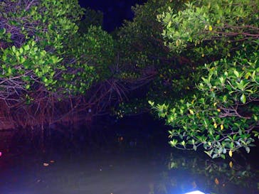 石垣島 ADVENTURE PiPi（イシガキジマアドベンチャーピピ）に投稿された画像（2022/5/18）