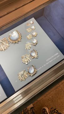 ミキモト真珠島に投稿された画像（2022/5/18）