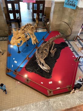 国立科学博物館　特別企画展「ポケモン化石博物館」に投稿された画像（2022/5/18）