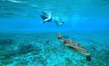 宮古島 ADVENTURE PiPi（ミヤコジマ アドベンチャー ピピ）に投稿された画像（2022/5/18）