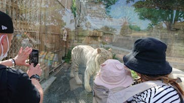 東武動物公園に投稿された画像（2022/5/19）