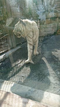 東武動物公園に投稿された画像（2022/5/19）