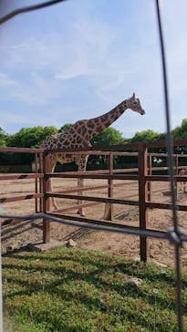 東武動物公園に投稿された画像（2022/5/19）