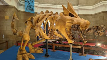 国立科学博物館　特別企画展「ポケモン化石博物館」に投稿された画像（2022/5/19）