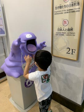 国立科学博物館　特別企画展「ポケモン化石博物館」に投稿された画像（2022/5/19）