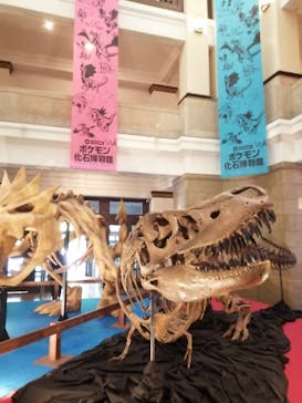 国立科学博物館　特別企画展「ポケモン化石博物館」に投稿された画像（2022/5/19）