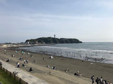 新江ノ島水族館に投稿された画像（2022/5/19）