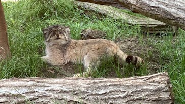 那須どうぶつ王国に投稿された画像（2022/5/19）