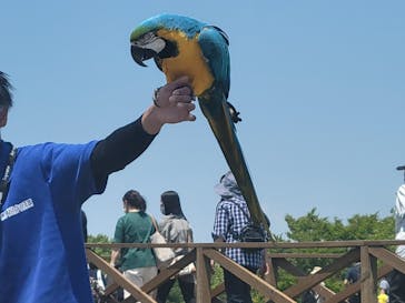 那須どうぶつ王国に投稿された画像（2022/5/19）