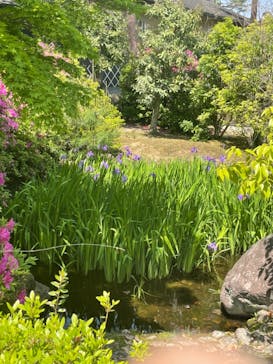 上方温泉 一休 京都本館に投稿された画像（2022/5/19）